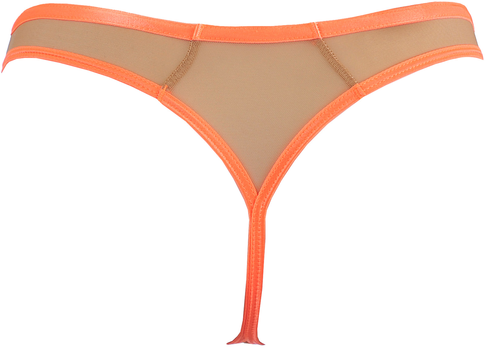 String V-11808 String V-11808