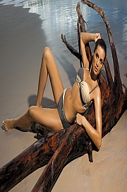 Marko - Kostium kąpielowy Liliana Jungle-Light Skin M-259 Popielato-kawowy  jak na zdjęciu