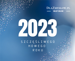 Nowy Rok 2023 - Twój sklep z bielizną Dlazmyslow.pl